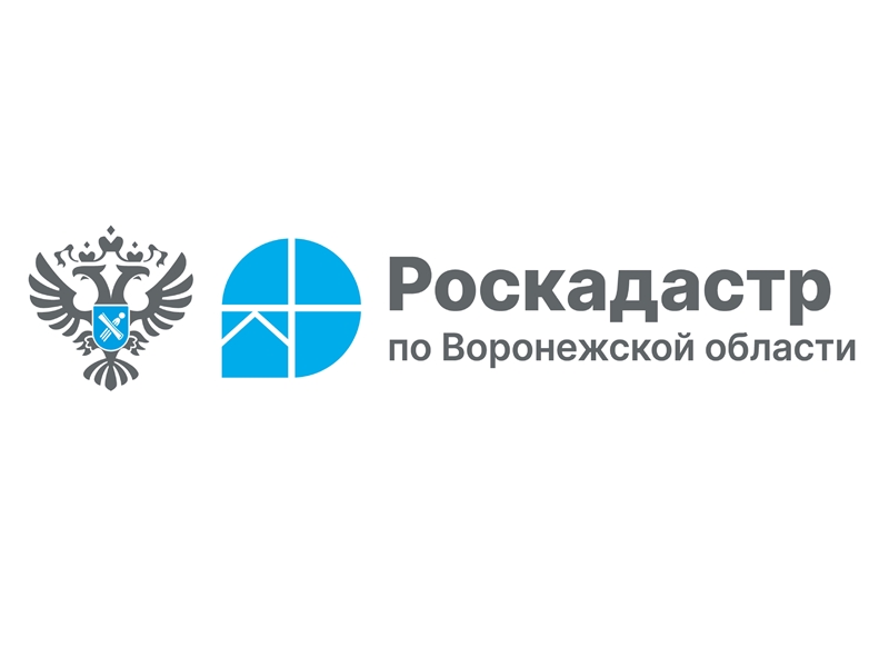 Узнаем как получить копию документов из архива.