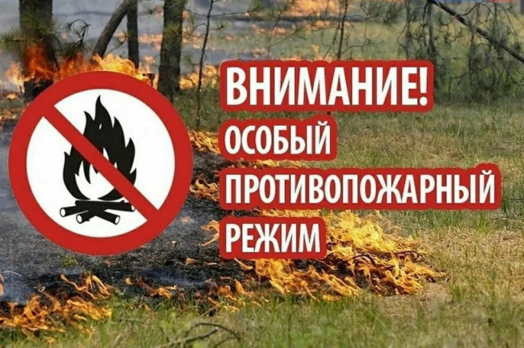 ВНИМАНИЕ!!! Введение особого противопожарного режима на территории Воронежской области с 1 апреля 2024г.. ВНИМАНИЕ!!! Введение особого противопожарного режима на территории Воронежской области с 1 апреля 2024г..