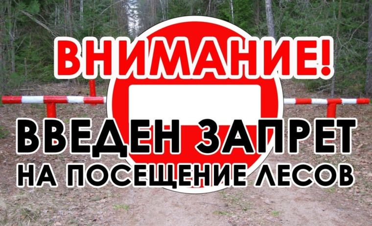 Воронежский филиал КУ ВО «Лесная охрана» «Воронежское лесничество» информирует жителей Верхнехавского района. Воронежский филиал КУ ВО «Лесная охрана» «Воронежское лесничество» информирует жителей Верхнехавского района.